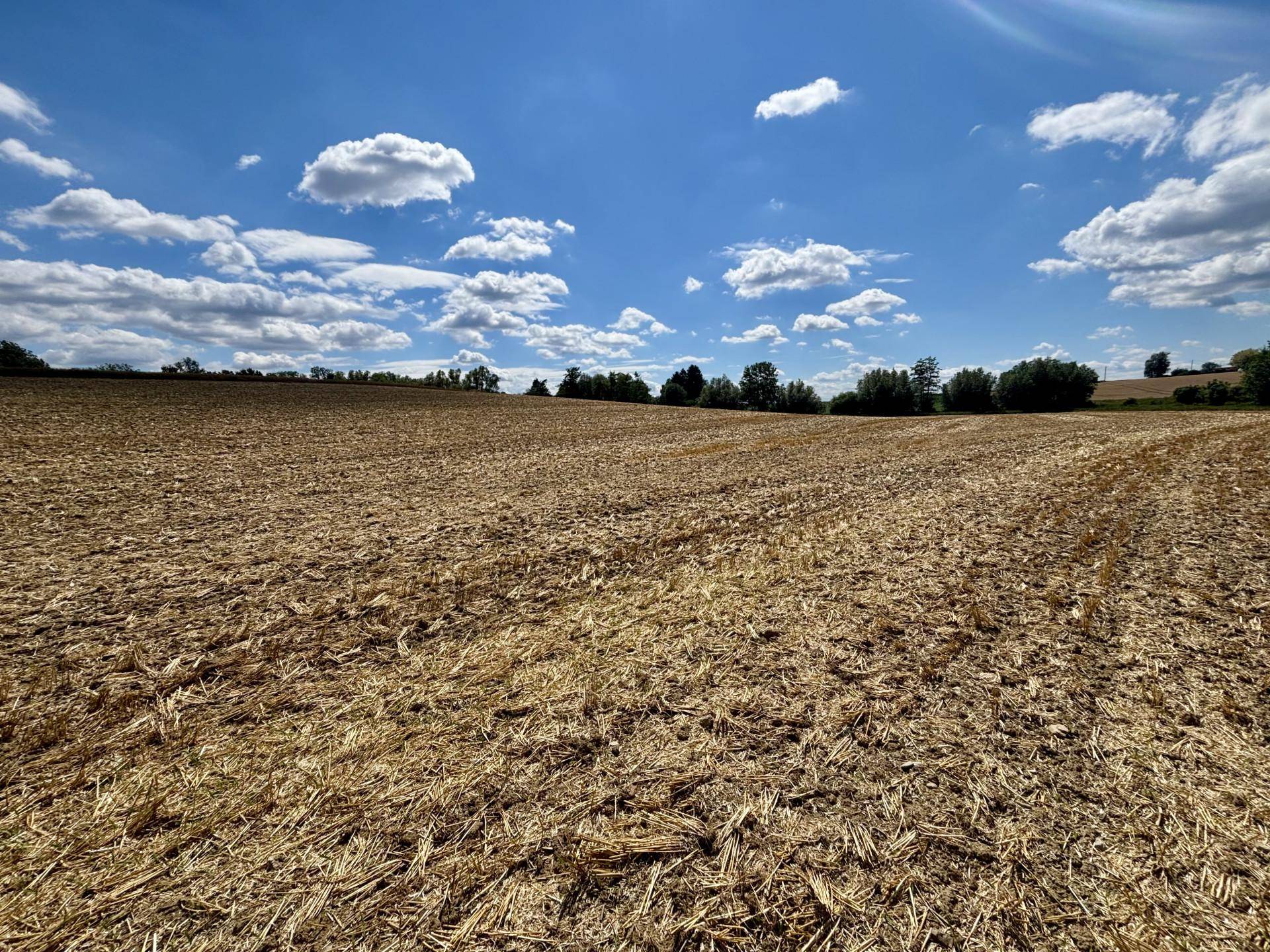 Weitläufiges abgeerntetes Feld unter einem klaren blauen Himmel mit vereinzelten Wolken.