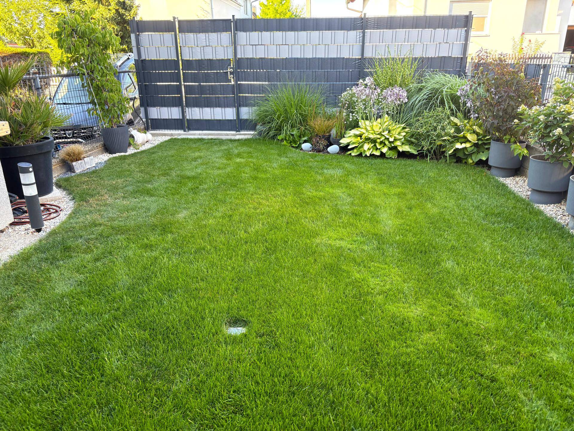 Gepflegter Garten mit Rasenfläche, vielfältiger Bepflanzung und modernem Sichtschutzzaun im Hintergrund.