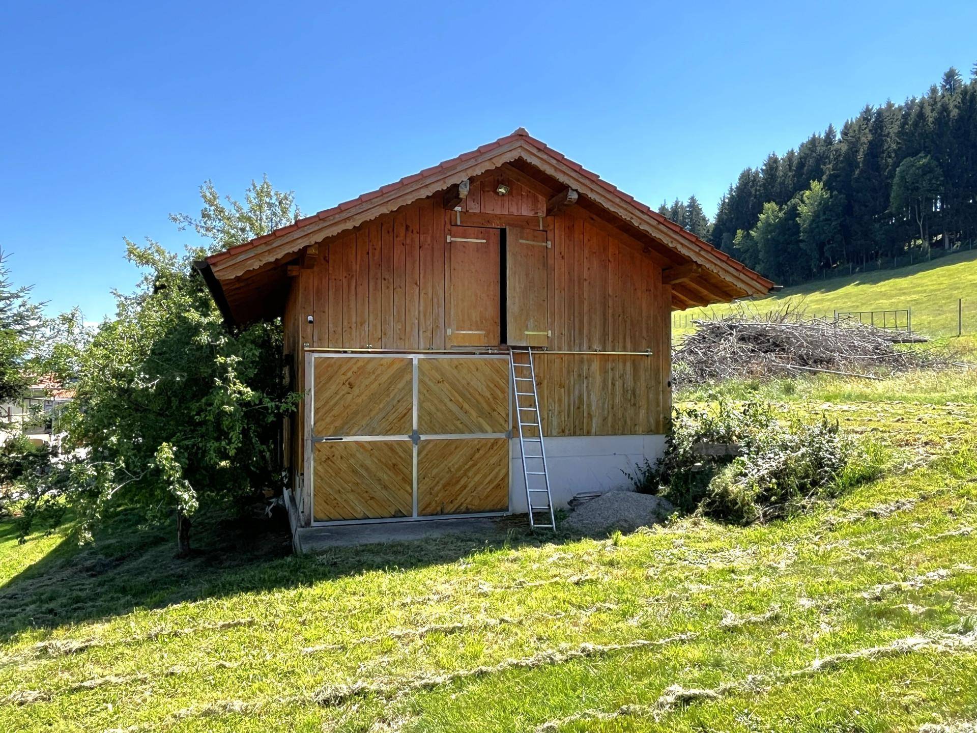 Rustikales Holzgebäude mit Satteldach und Leiter in ländlicher, grüner Umgebung.