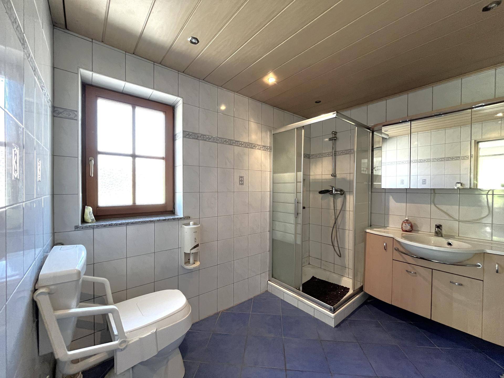 Badezimmer mit blauen Fliesen, Duschkabine und einem Fenster für Tageslicht, ausgestattet mit Haltegriffen.