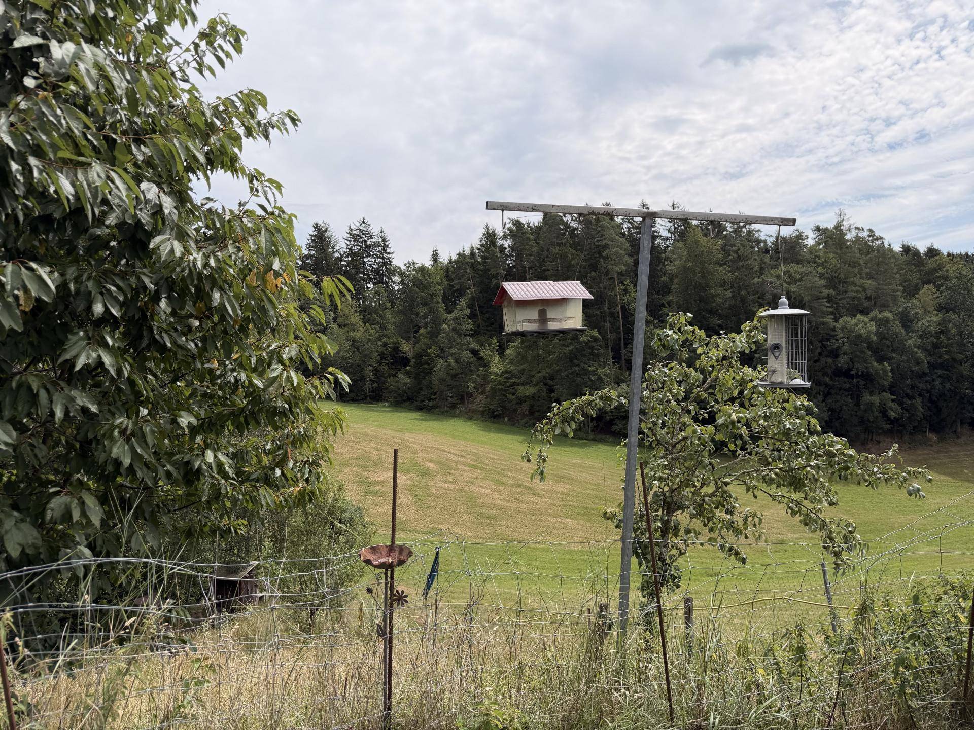 Weitläufige grüne Landschaft mit Feldern und Wäldern unter bewölktem Himmel.