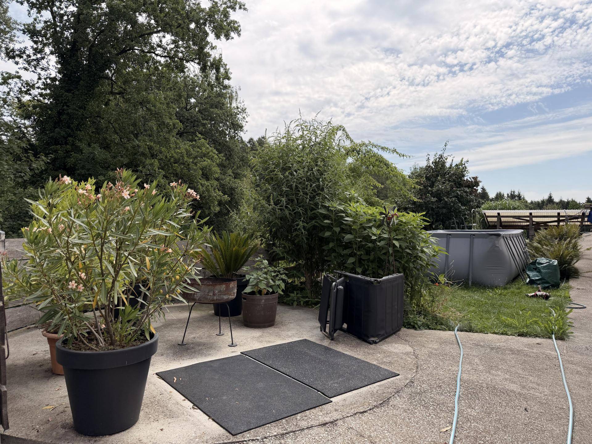 Gartenbereich mit Pflanzen in Töpfen und einem Aufstellpool im Hintergrund.