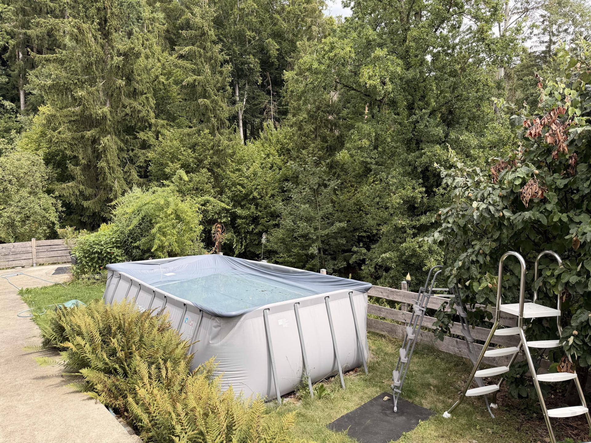 Aufstellpool im Garten mit Leiter und umgebender Vegetation.