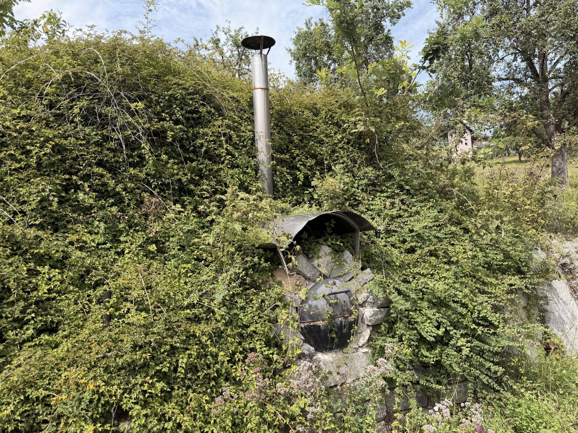 Rustikaler Außenofen, umgeben von üppigem Grün und Kletterpflanzen im Garten.