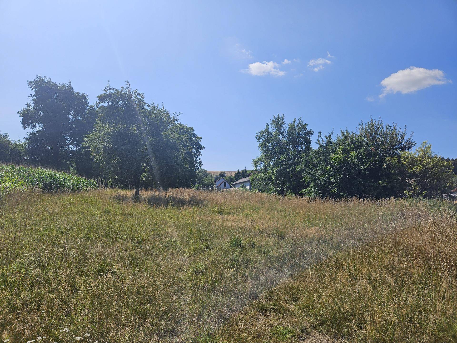 Weitläufige grüne Wiese mit vereinzelten Bäumen und einem Haus in der Ferne unter blauem Himmel.