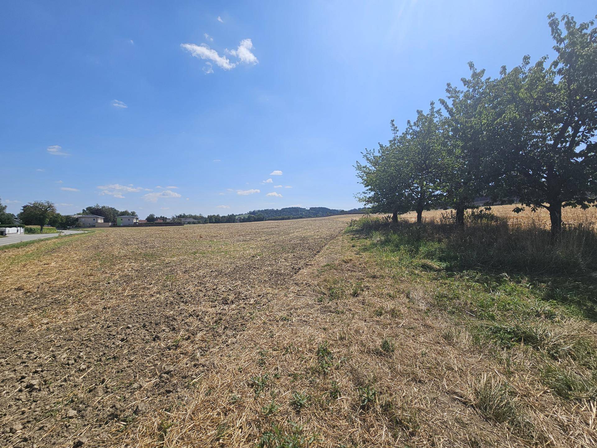 Großes Feld mit Ackerland und Bäumen am Horizont unter einem klaren blauen Himmel.