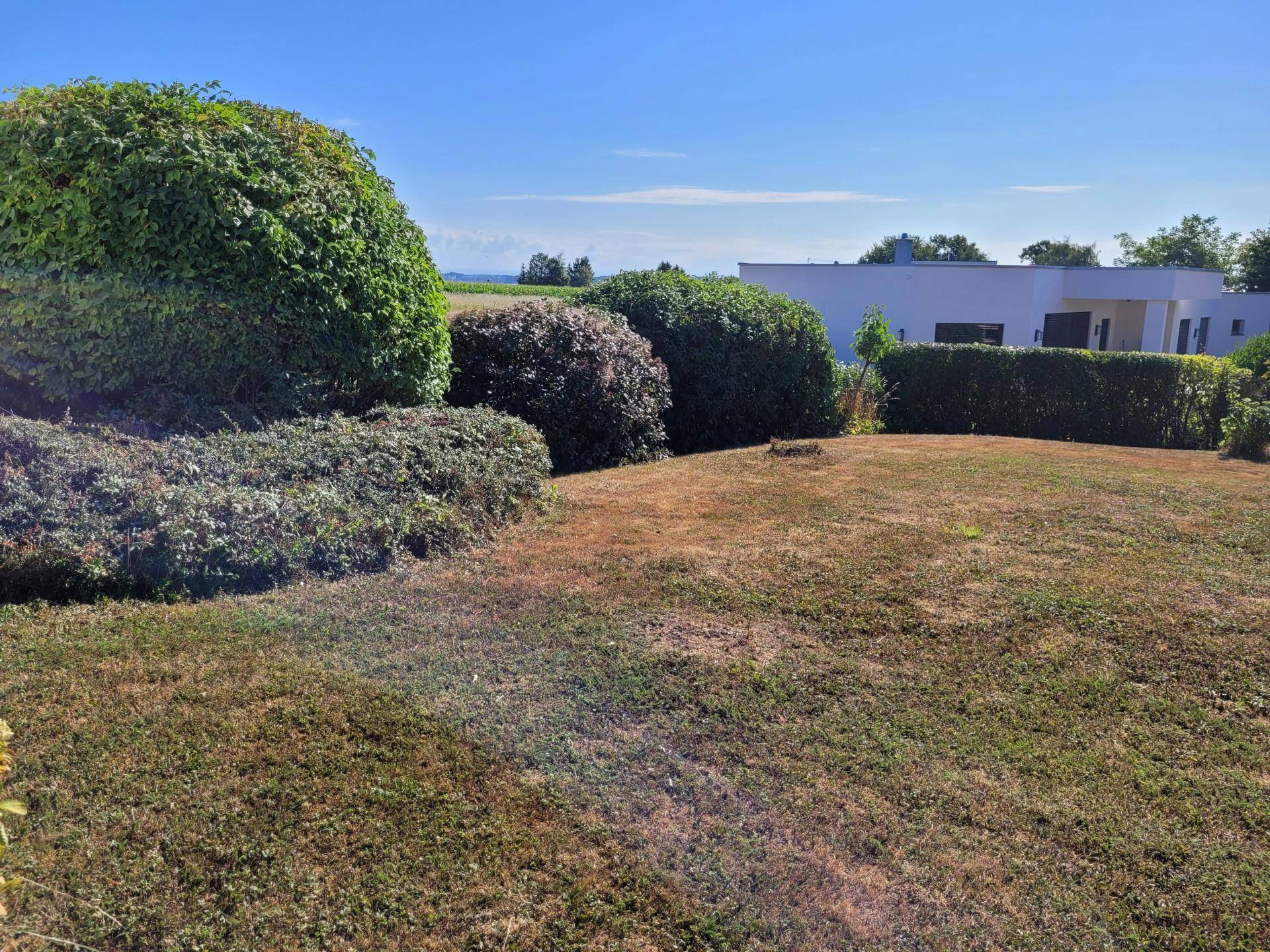 Weitläufiger Garten mit üppigen Büschen und freiem Blick auf die umliegende Landschaft.