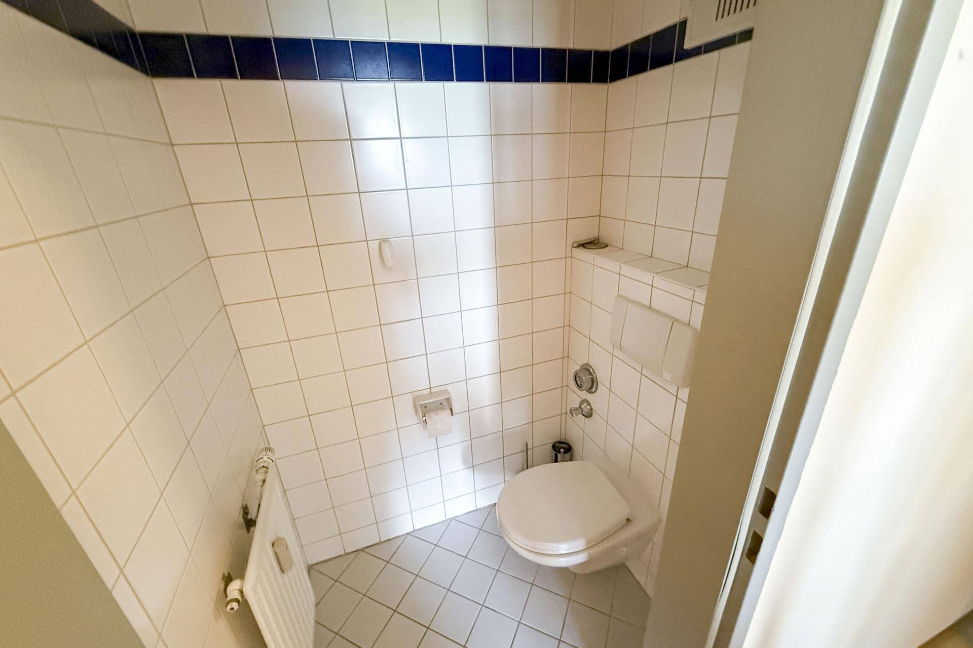 Kleines WC mit Toilette, weißen Fliesen und blauen Akzenten unter der Dachschräge.