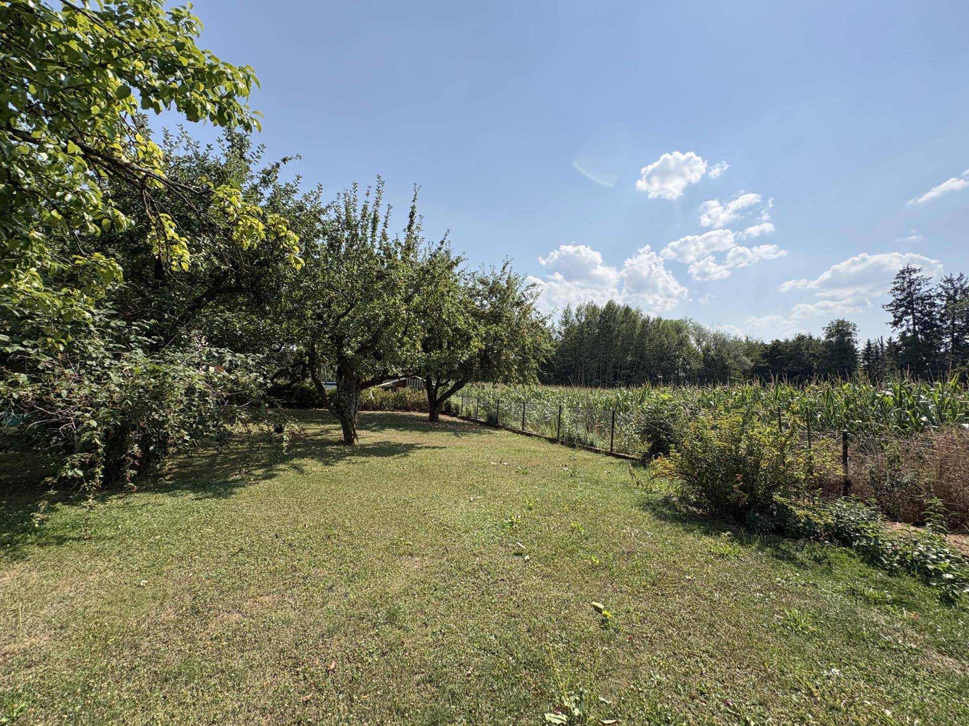 Großer Garten mit Obstbäumen und Blick auf angrenzende Felder unter blauem Himmel.