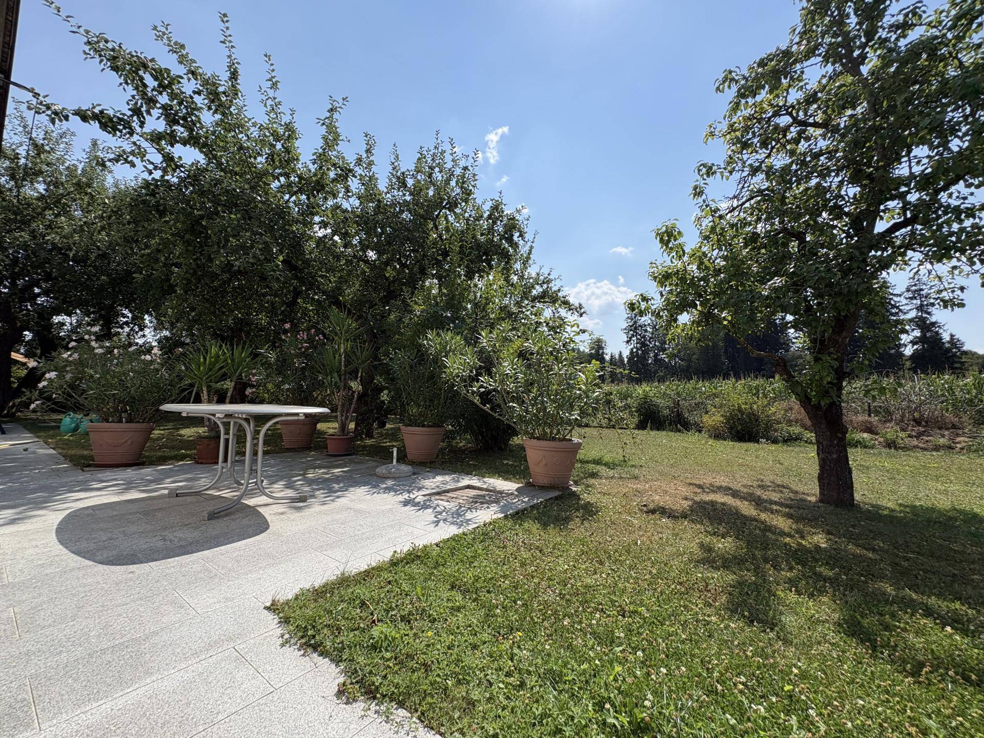 Sonniger Terrassenbereich mit Gartentisch und Stühlen, umgeben von Bäumen und Grünflächen.