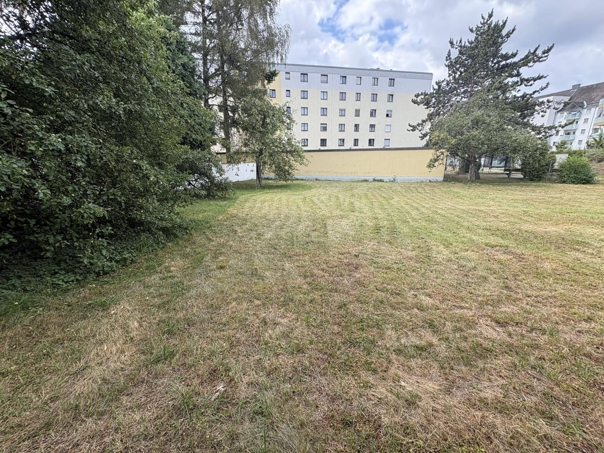 Große, gepflegte Rasenfläche mit einem Mehrfamilienhaus im Hintergrund und hohen Bäumen an den Seiten.