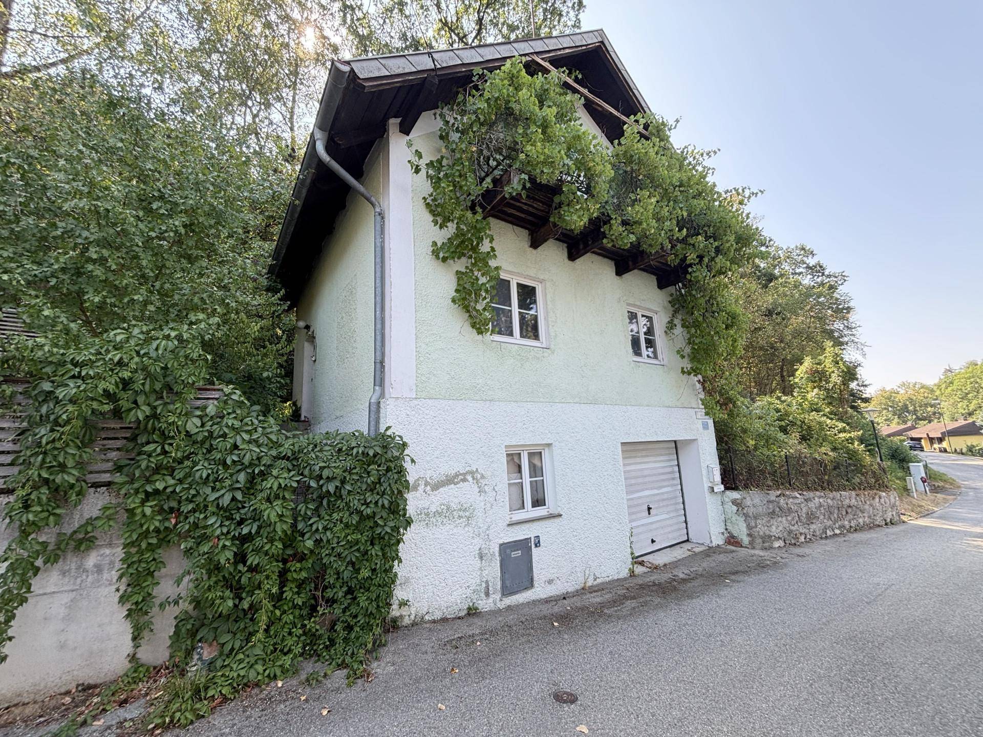Ansicht des Hauses von der Straße mit Garage und stark bewachsener Fassade.