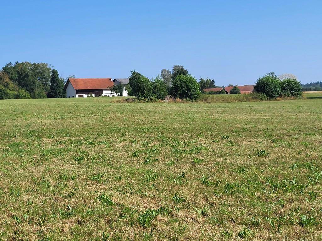 Weite Wiesenlandschaft mit Häusern in der Ferne unter blauem Himmel.