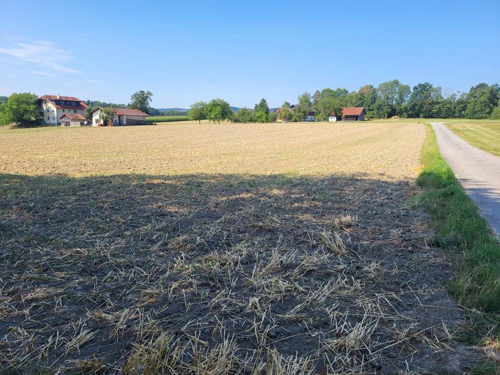 Abgeerntete Feldlandschaft mit einem Feldweg und Häusern in der Ferne.