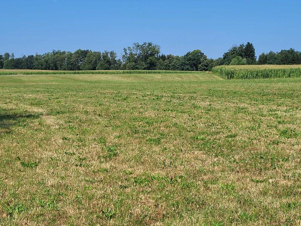 Weite grüne Wiesenlandschaft mit Bäumen und Feldern am Horizont unter klarem Himmel.