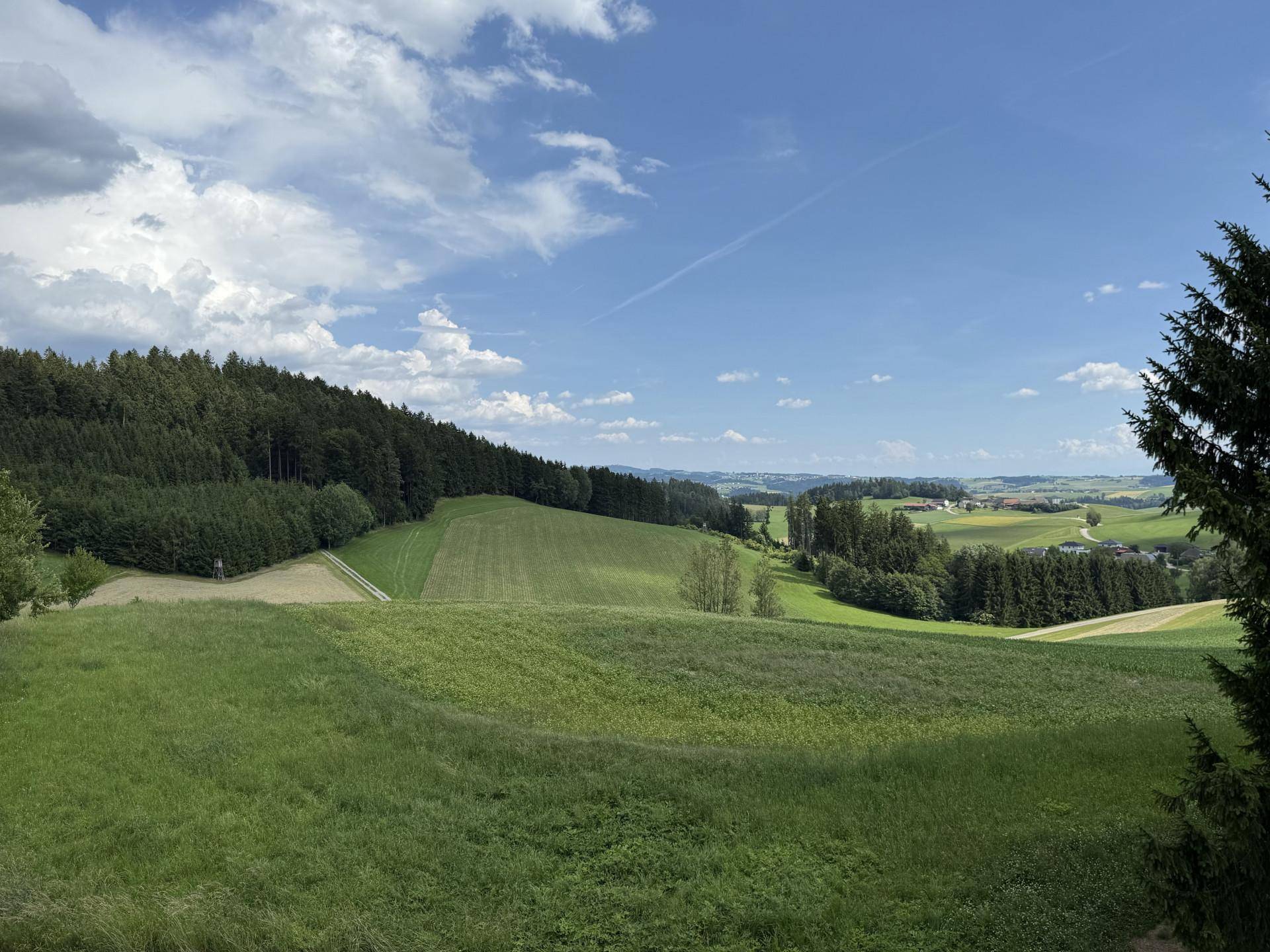 Weitläufiger Blick über grüne Hügel und Wälder in ländlicher Umgebung.