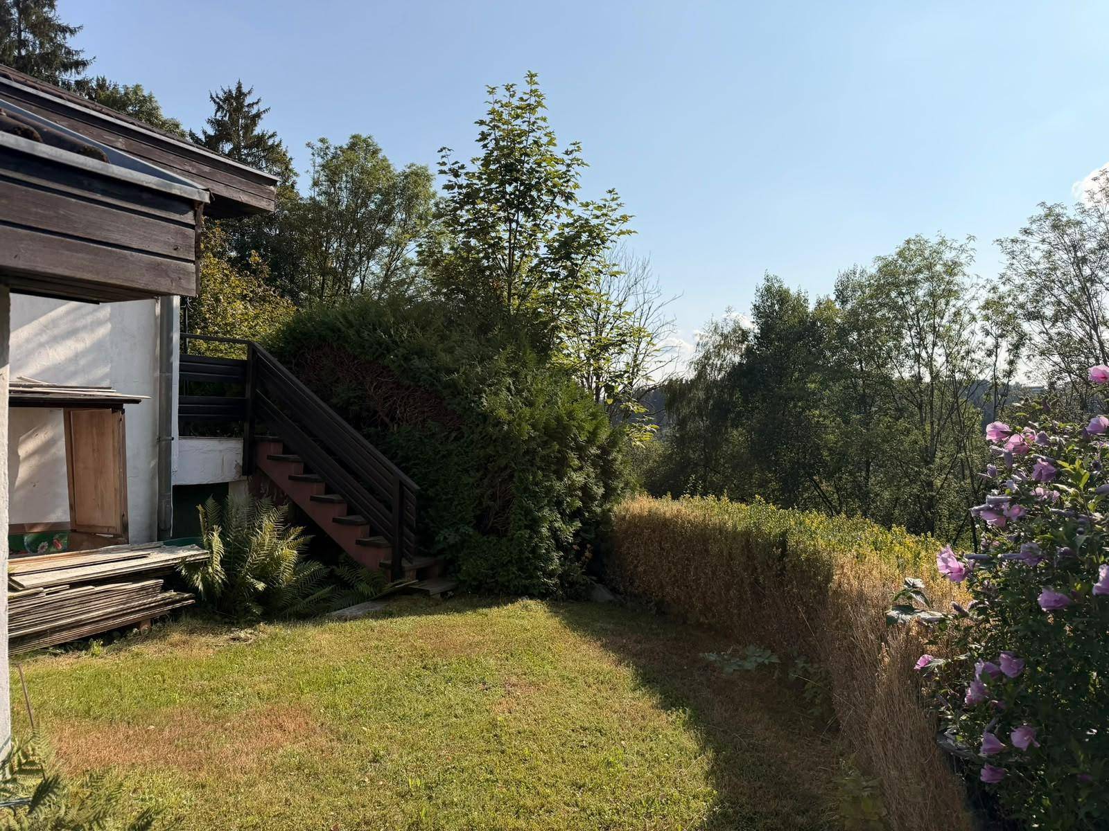 Sonnige Rasenfläche mit Liegestühlen und Hecke, umgeben von üppiger Vegetation und Bäumen.