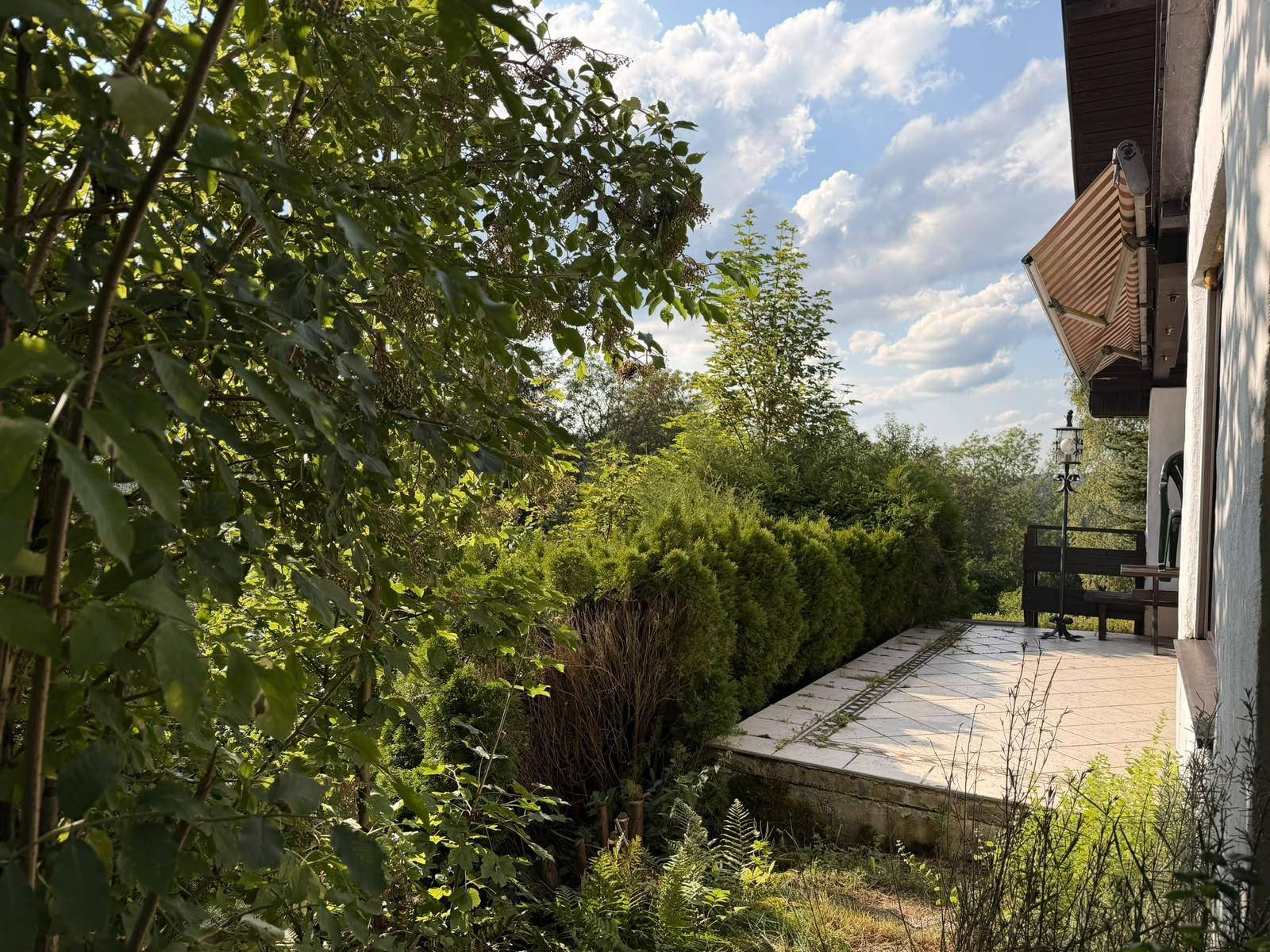 Gedeckte Terrasse mit Markise und Blick auf die umgebende grüne Landschaft und Bäume.
