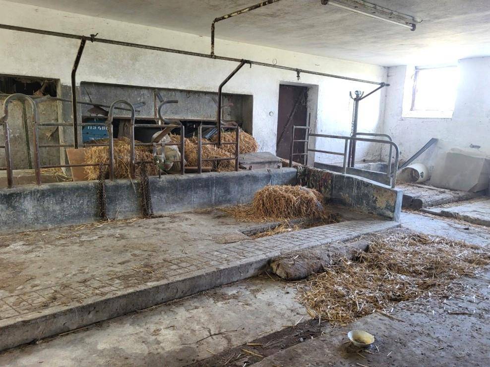 Alter Stall mit Heu, Futtertrögen und Betonboden, bereit zur Nutzung.