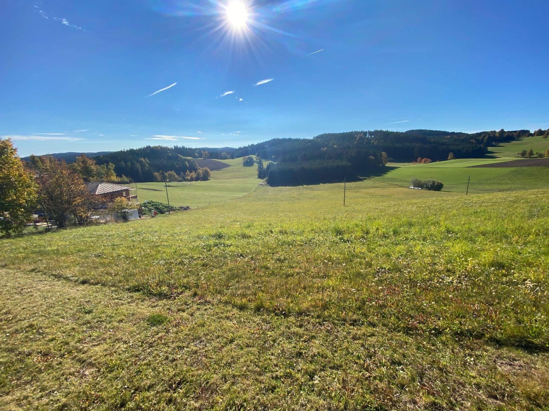 Sonnige weite Landschaft mit grünen Feldern, Wäldern und einem strahlend blauen Himmel.