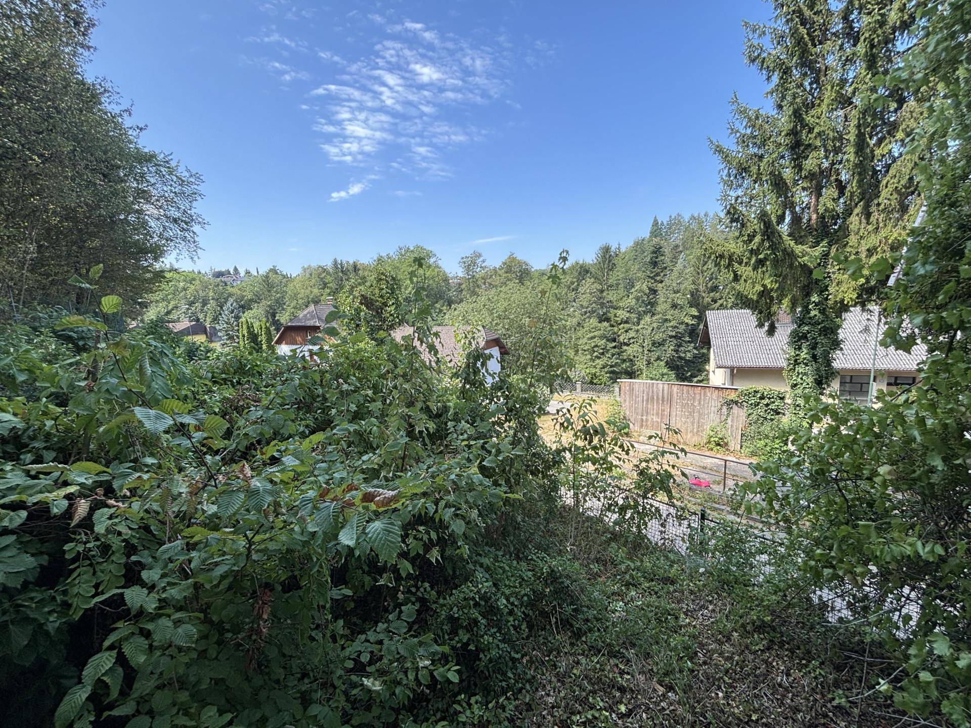 Weitläufiger Blick auf die grüne Umgebung mit Bäumen und einigen Häusern in der Ferne.