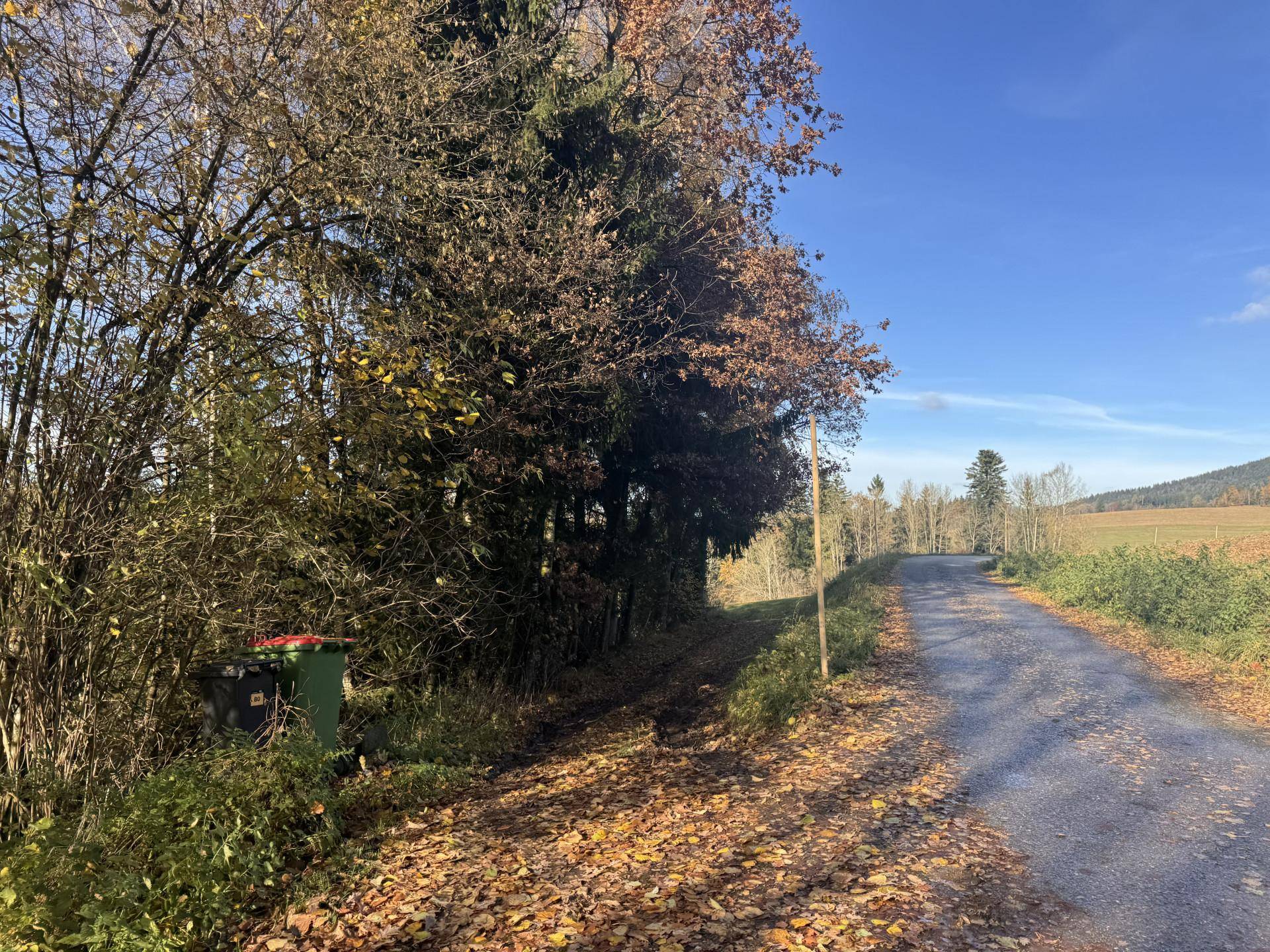 Ländliche Straße umgeben von Bäumen und Feldern, mit herbstlicher Laubfärbung.