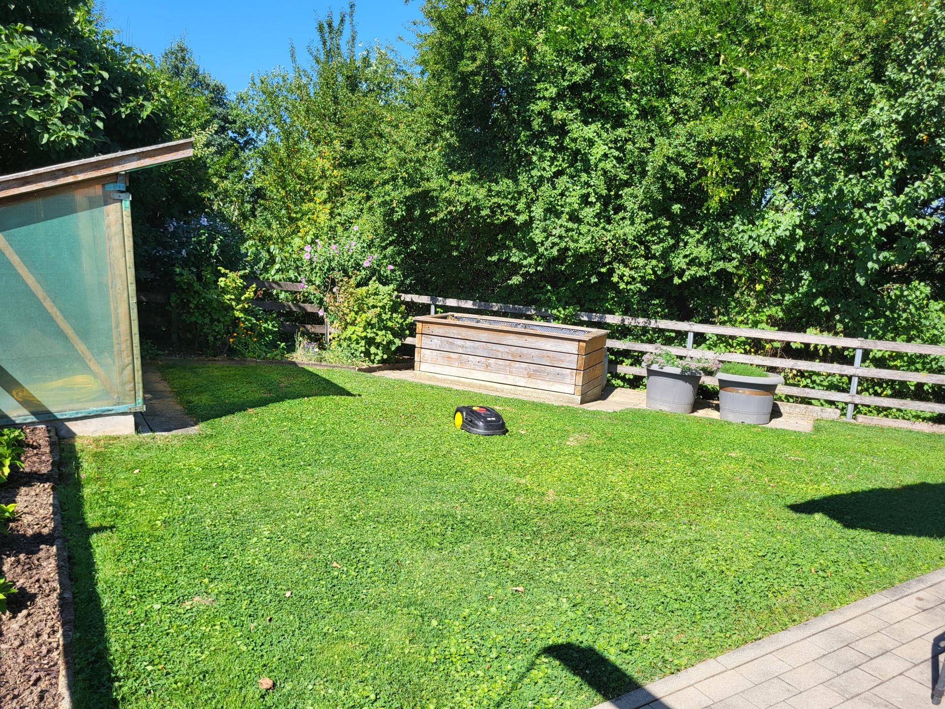 Garten mit Rasenroboter