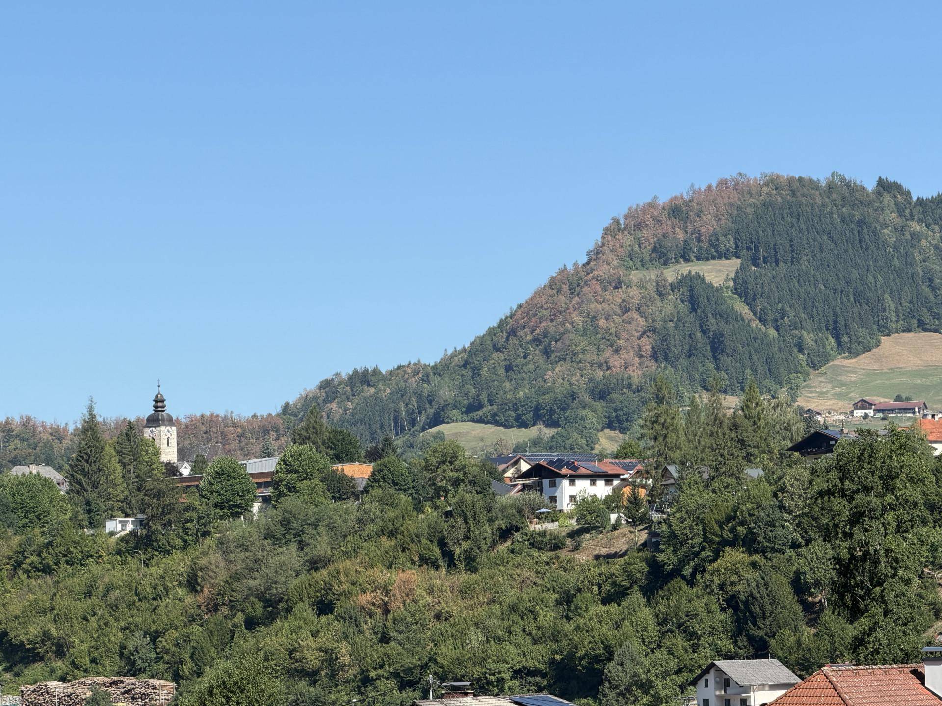 Ausblick