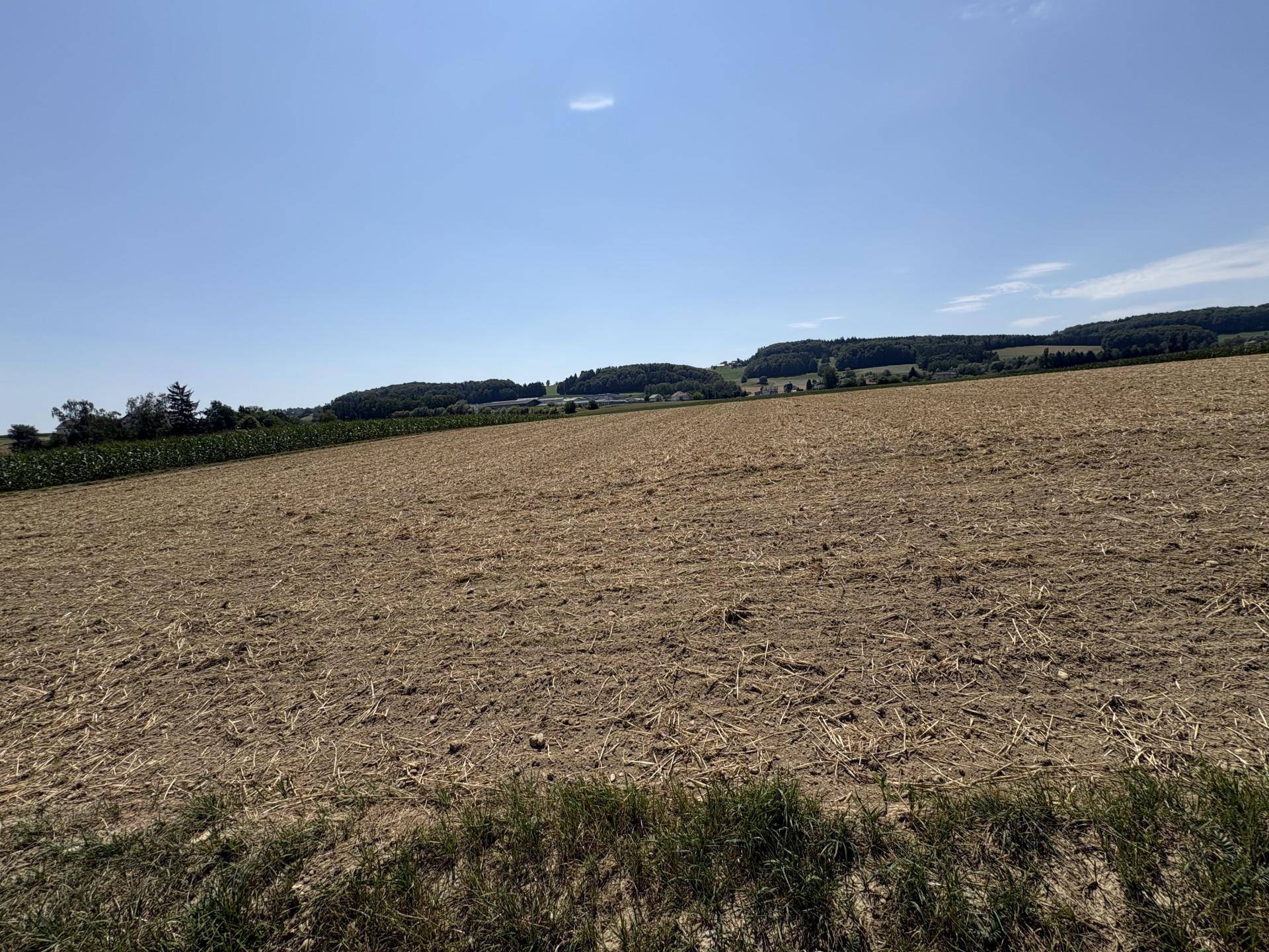 Weites Ackerland mit abgeerntetem Feld und bewaldeten Hügeln in der Ferne unter blauem Himmel.