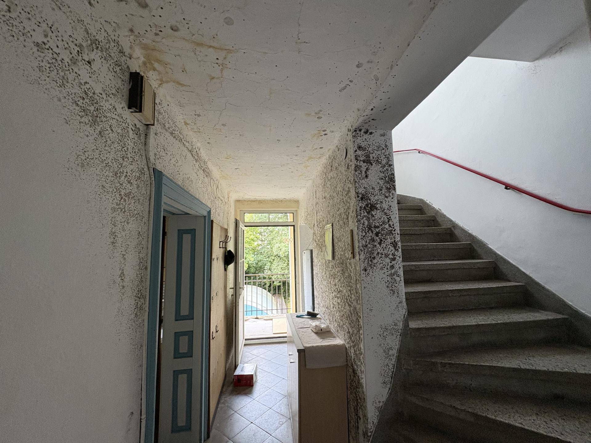 Flur und Treppenhaus mit sichtbaren Feuchtigkeitsschäden und Zugang zu einem Balkon.