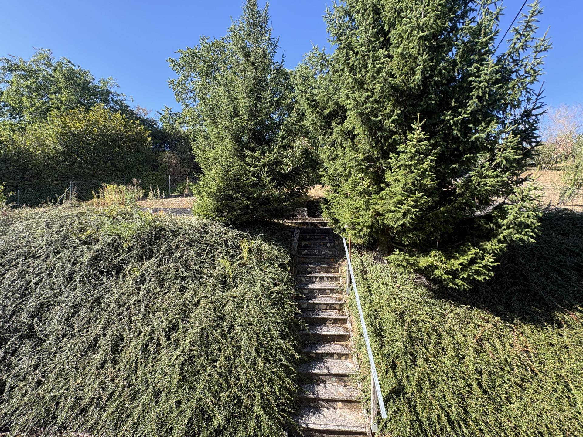 Steintreppe führt einen bewachsenen Hang hinauf, umgeben von Bäumen und Sträuchern.