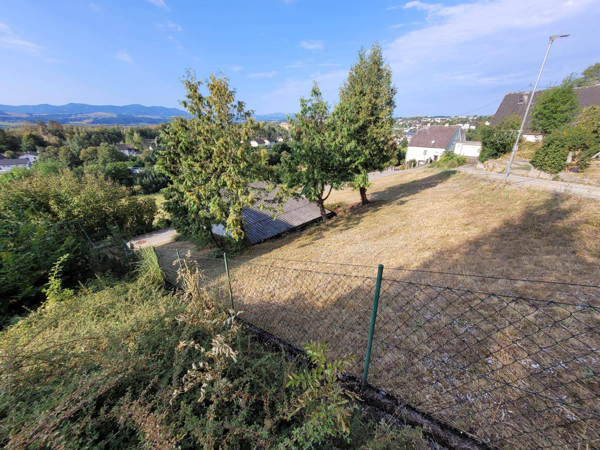 Großes Grundstück mit trockenem Gras, einigen Bäumen und Blick auf die umliegende Bebauung.
