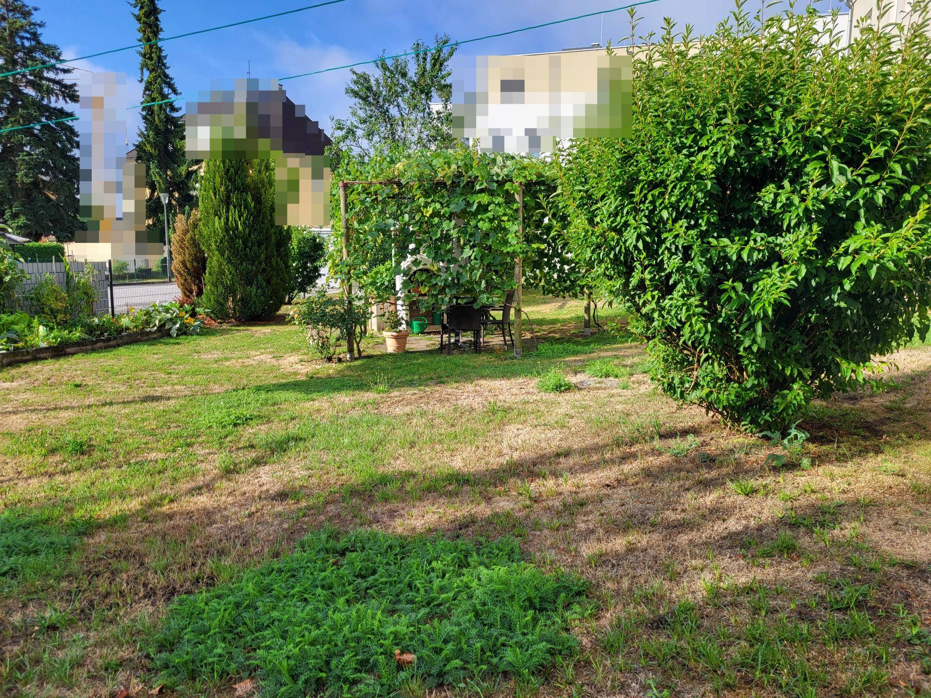 Sonniger Garten mit Rasenfläche, Sträuchern und einem überdachten Sitzbereich, lädt zum Verweilen ein.