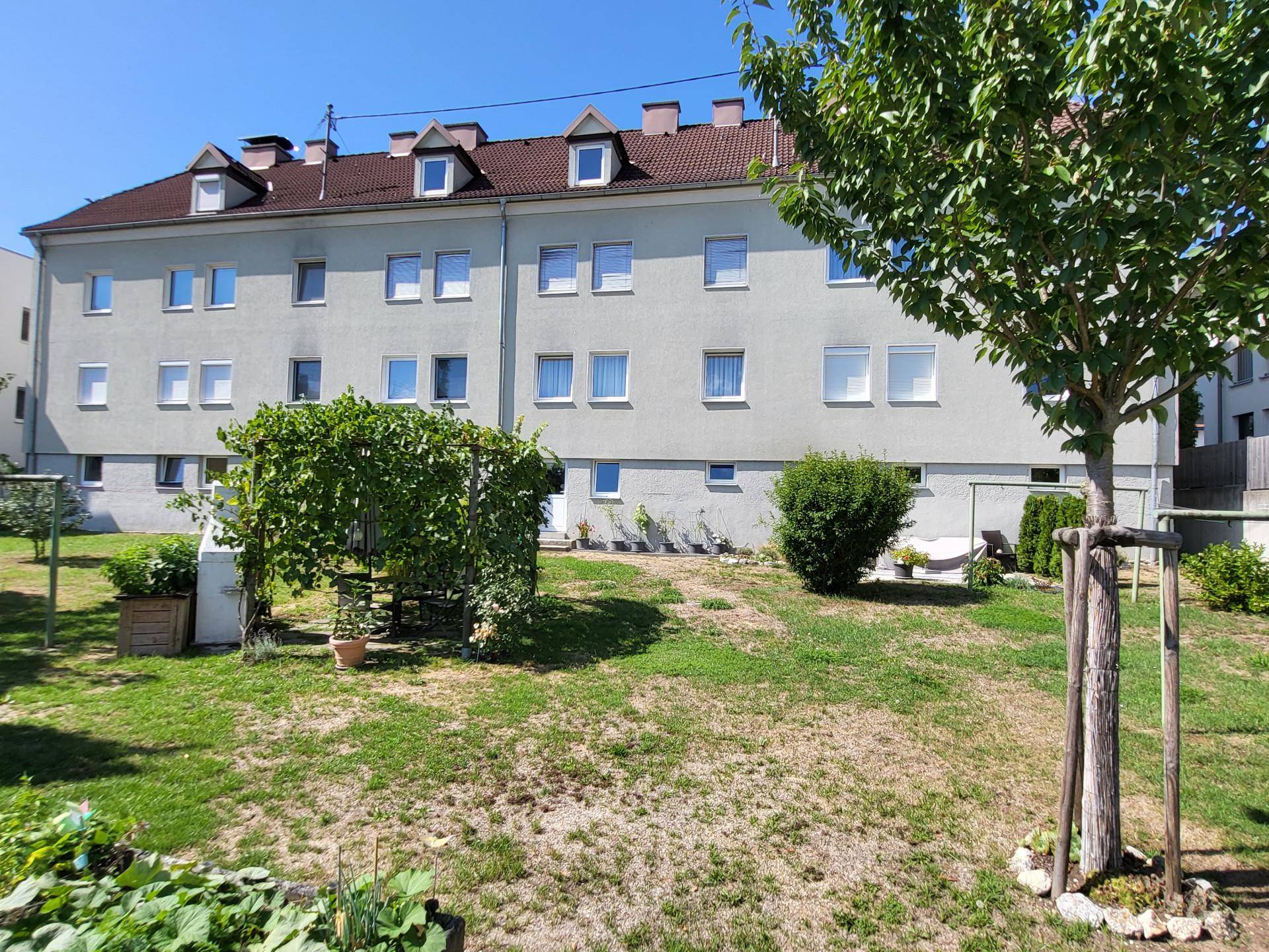 Rückseite des Wohnhauses mit einem grünen Gartenbereich und einem jungen Baum, ideal zum Entspannen.