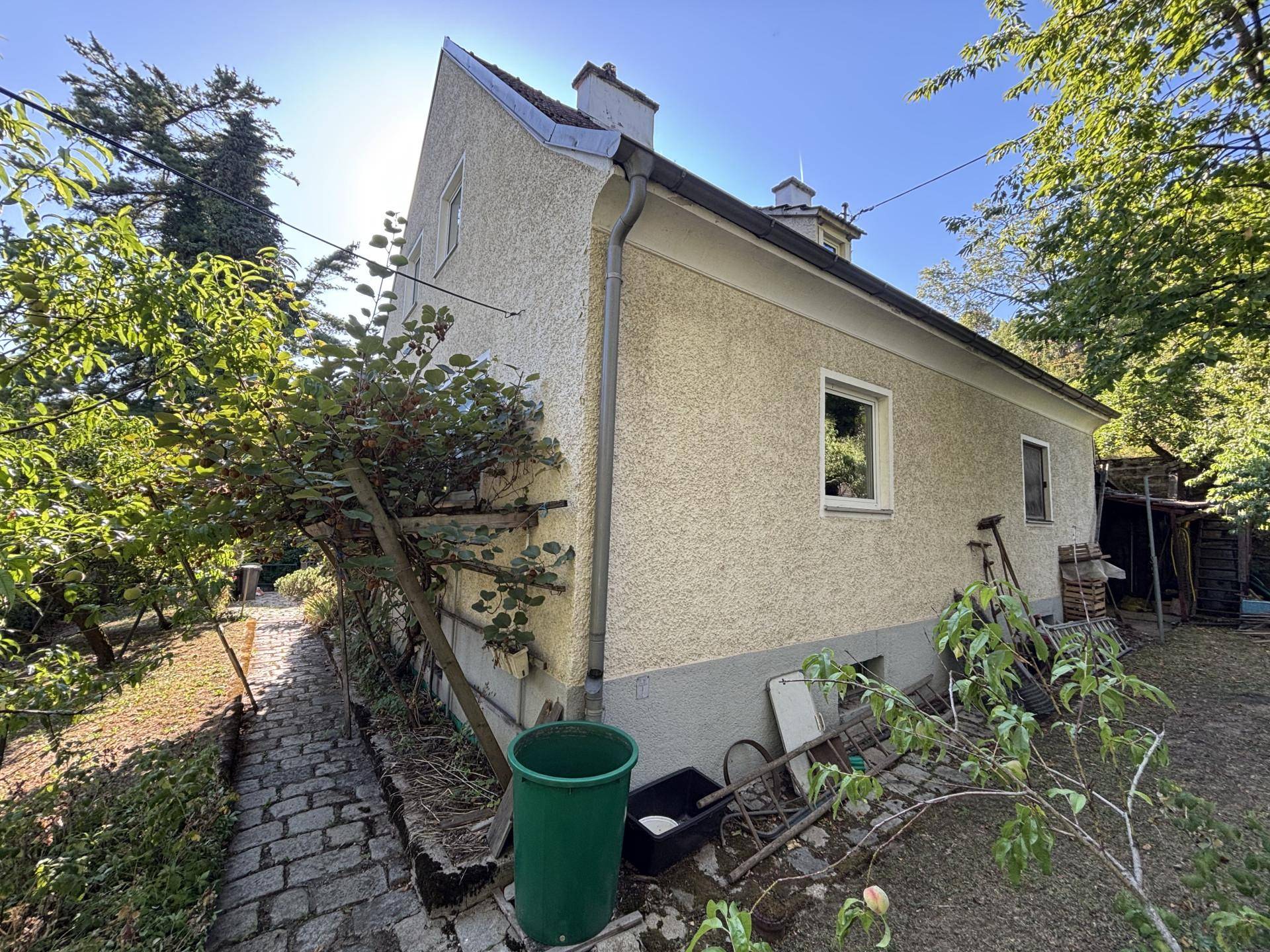 Seitenansicht des Hauses mit gepflastertem Weg und üppiger Vegetation im Garten.