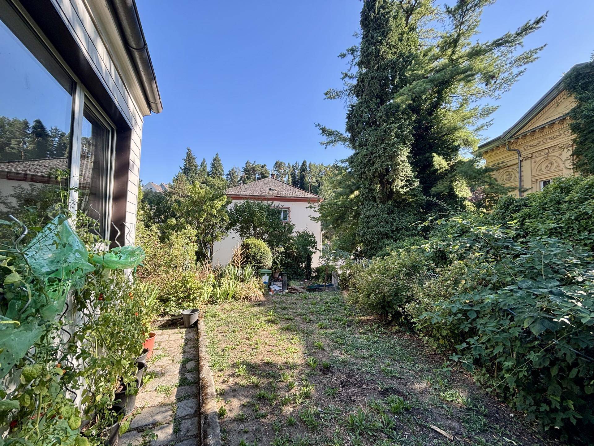 Weitläufiger Garten mit verschiedenen Pflanzen und Blick auf ein weiteres Gebäude im Hintergrund.
