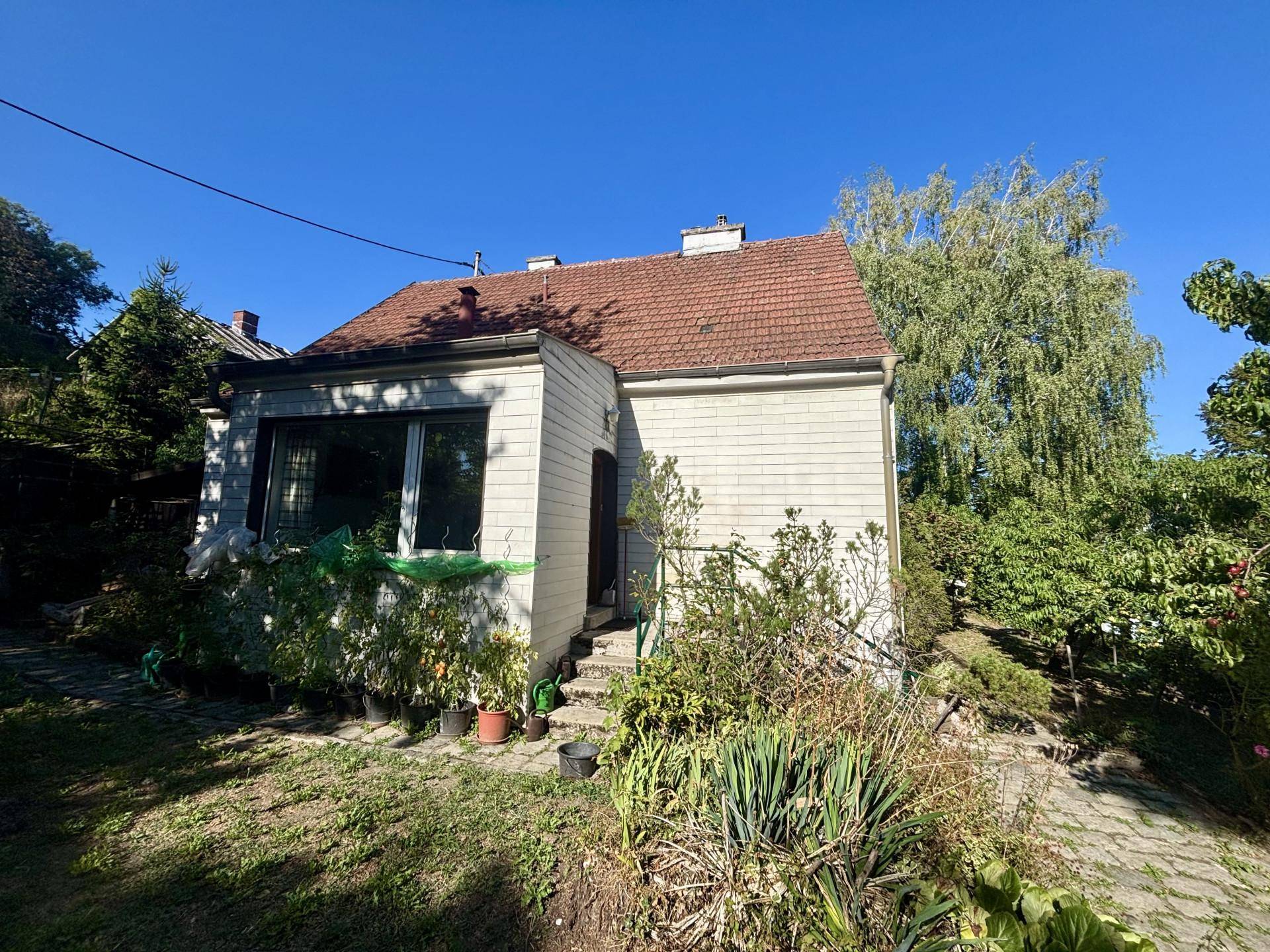 Vorderansicht eines Einfamilienhauses mit weißer Fassade und naturbelassenem Garten.