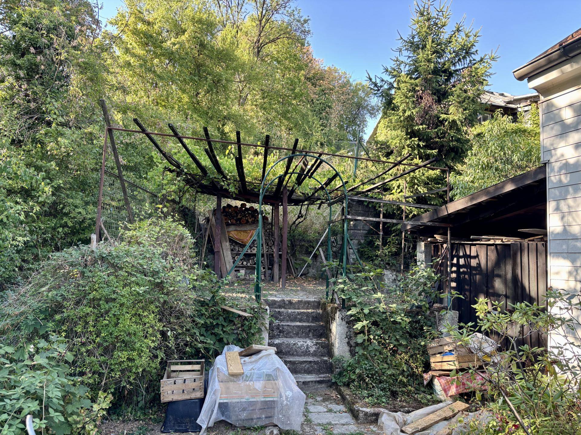 Naturbelassener Gartenbereich mit einer Pergola und Steinstufen, umgeben von dichtem Grün.