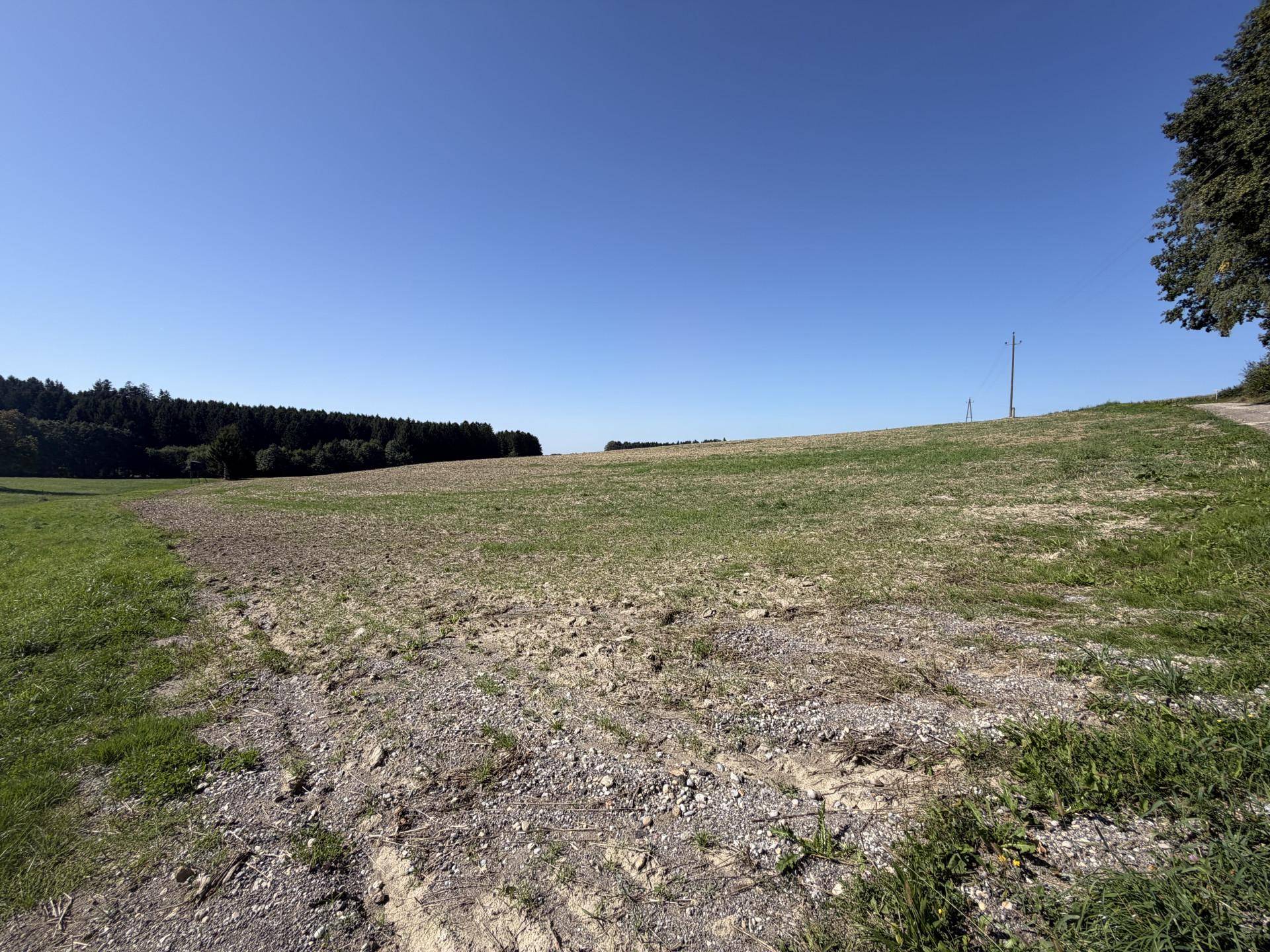 Trockenes Feld mit spärlicher Vegetation und einem Waldrand im Hintergrund unter blauem Himmel.