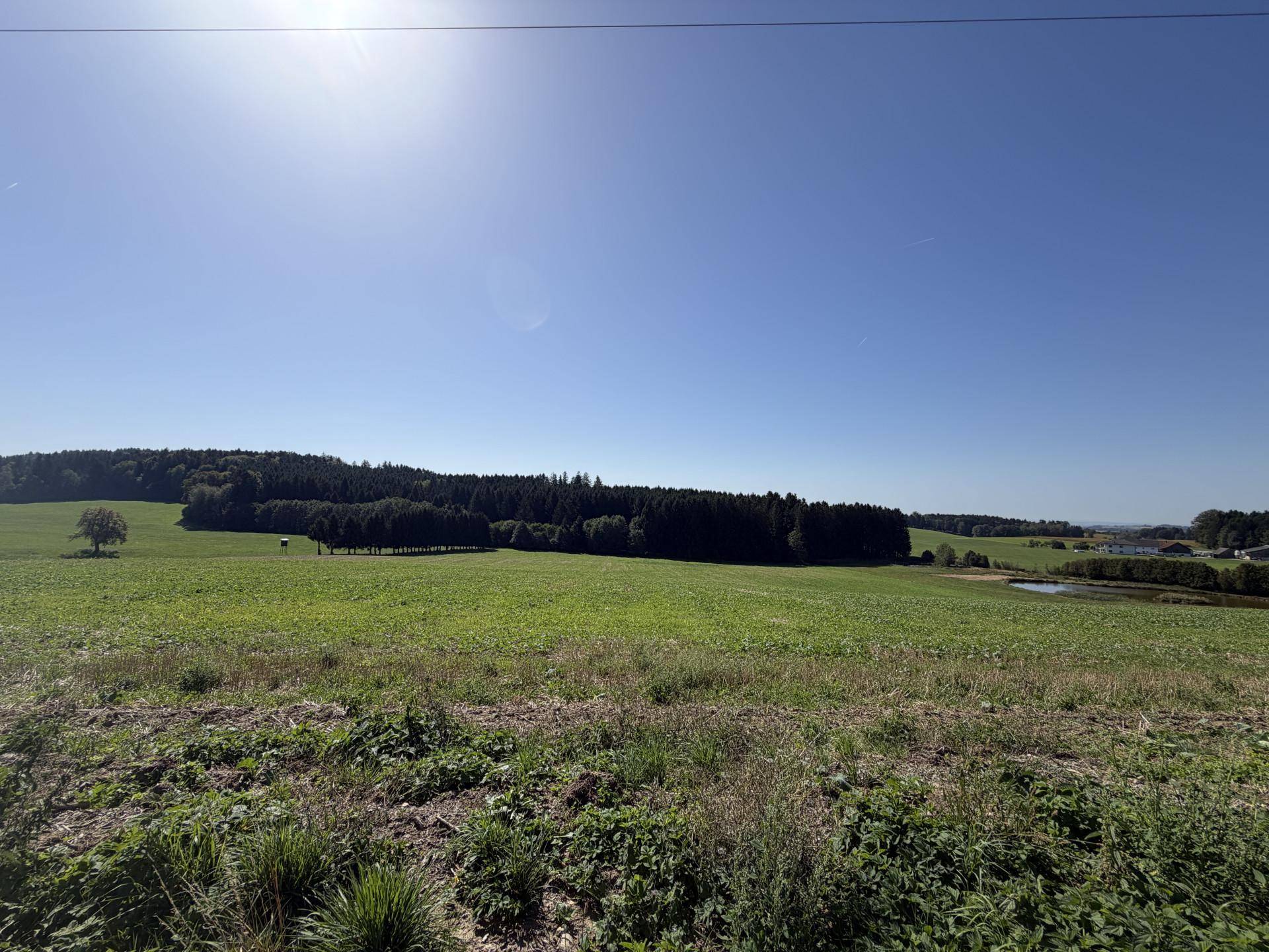 Weite grüne Felder und Wälder mit einem kleinen See in der Ferne unter strahlendem Himmel.