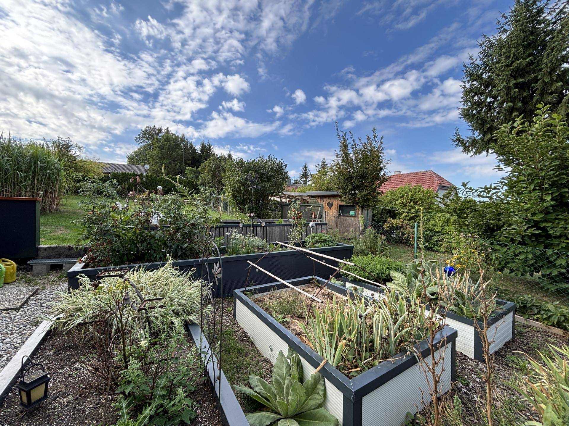 Gemüsegarten