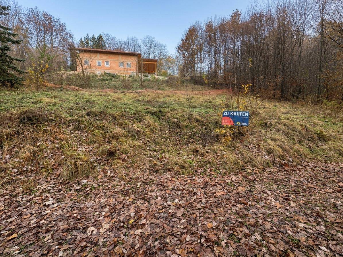 Grundstück mit einem im Bau befindlichen Haus im Hintergrund, umgeben von Bäumen und Herbstlaub.