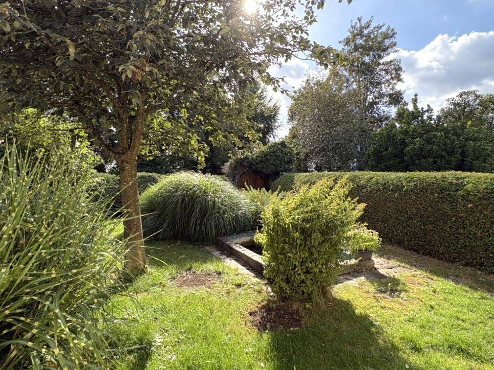 Gepflegter Gartenbereich mit Rasenfläche, hohen Hecken und üppiger Bepflanzung unter strahlendem Sonnenschein.
