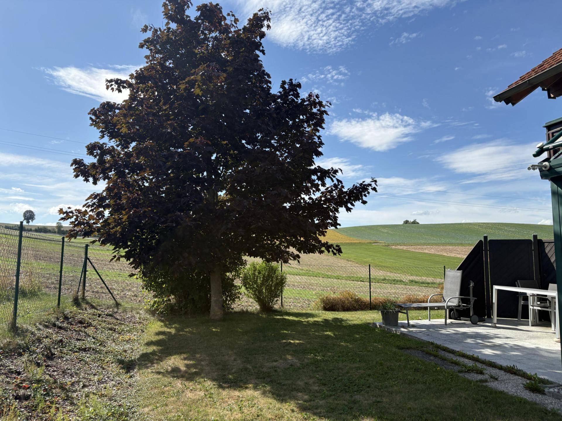 Gartenbereich mit Baum, Rasenfläche und einer kleinen Terrasse mit Sitzgelegenheiten.