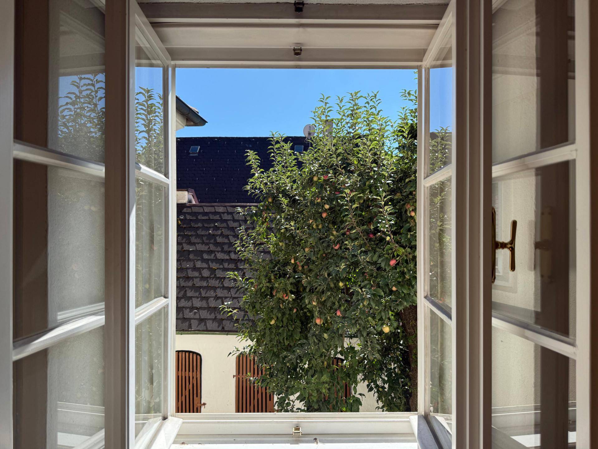 Offenes Fenster bietet einen Blick auf den grünen Innenhof mit Apfelbaum und Nebengebäuden.