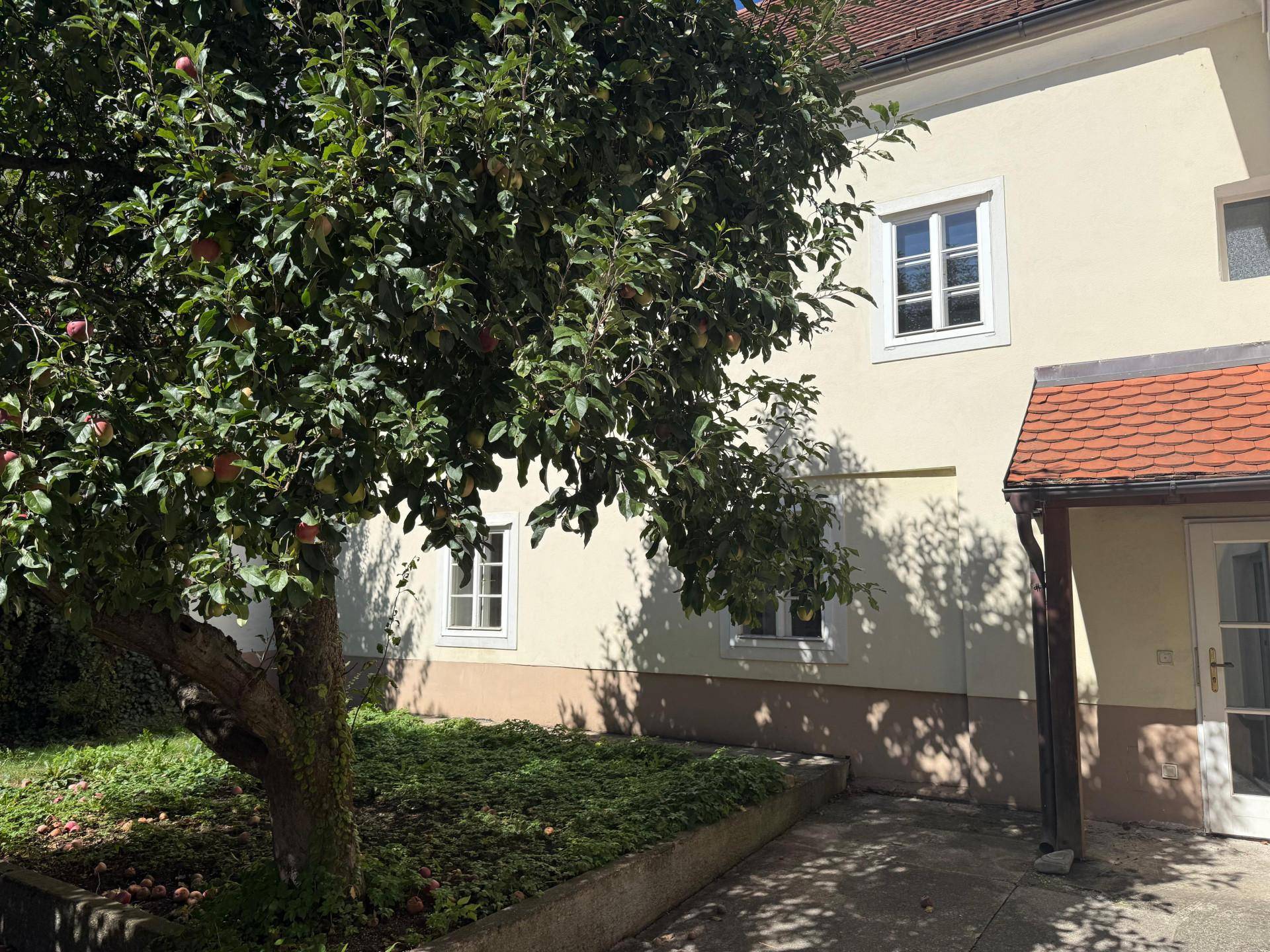 Grüner Gartenbereich mit Apfelbaum und gepflegter Bepflanzung neben dem Gebäude.
