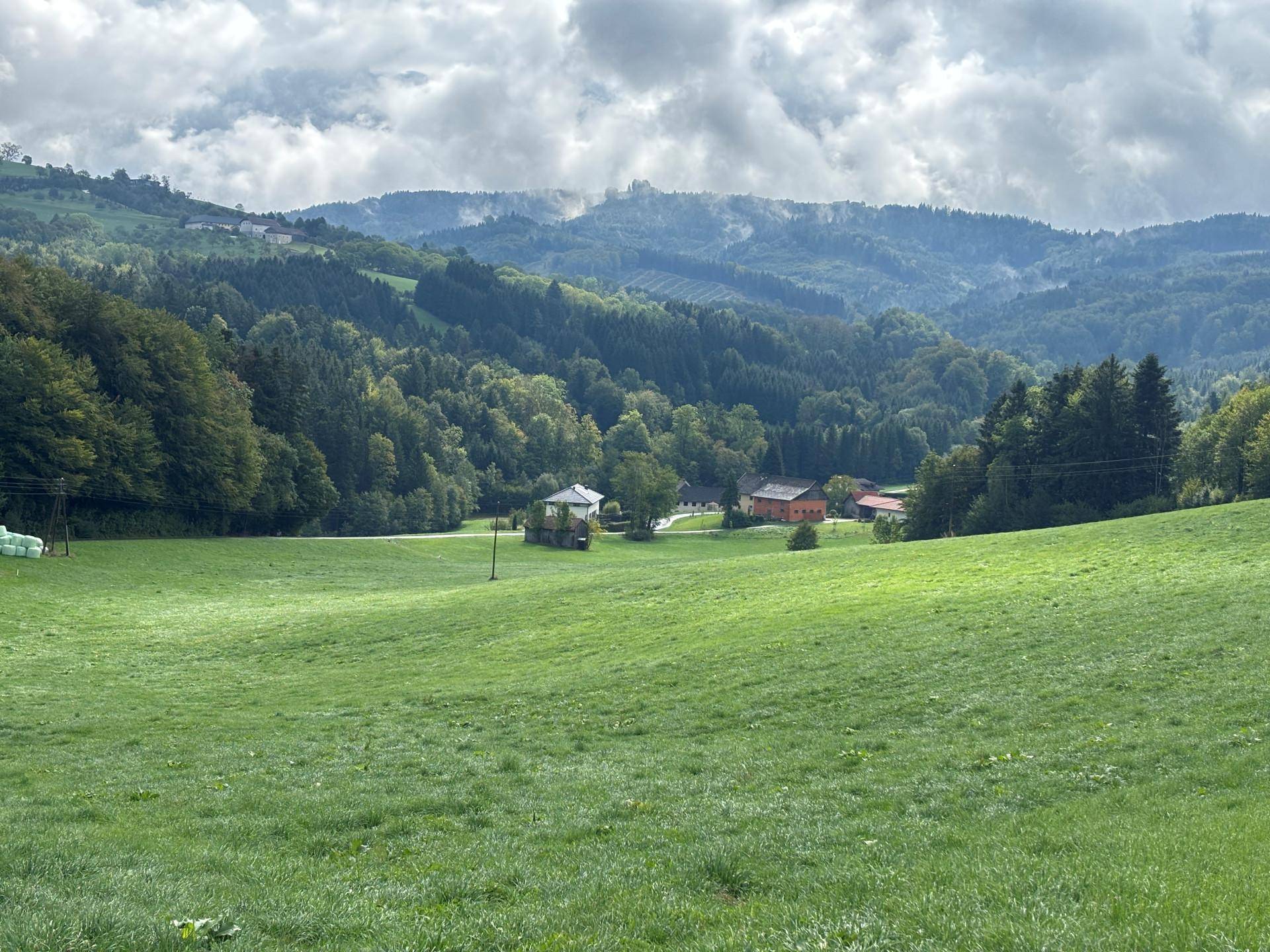 Panoramablick über grüne Wiesen und bewaldete Hügel mit vereinzelten Häusern im Tal.