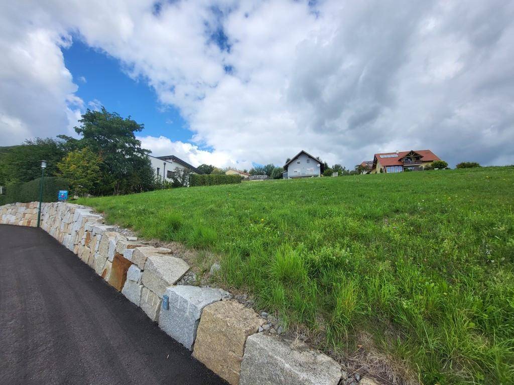 Grüner Hang mit Wohnhäusern und einer Natursteinmauer entlang der Zufahrtsstraße.