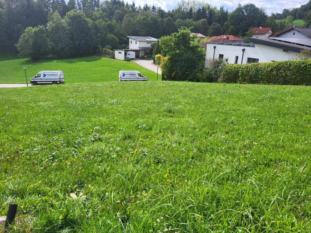 Grüne Wiesenfläche mit Wohnhäusern und Bäumen im Hintergrund, zwei Lieferwagen auf der Straße.