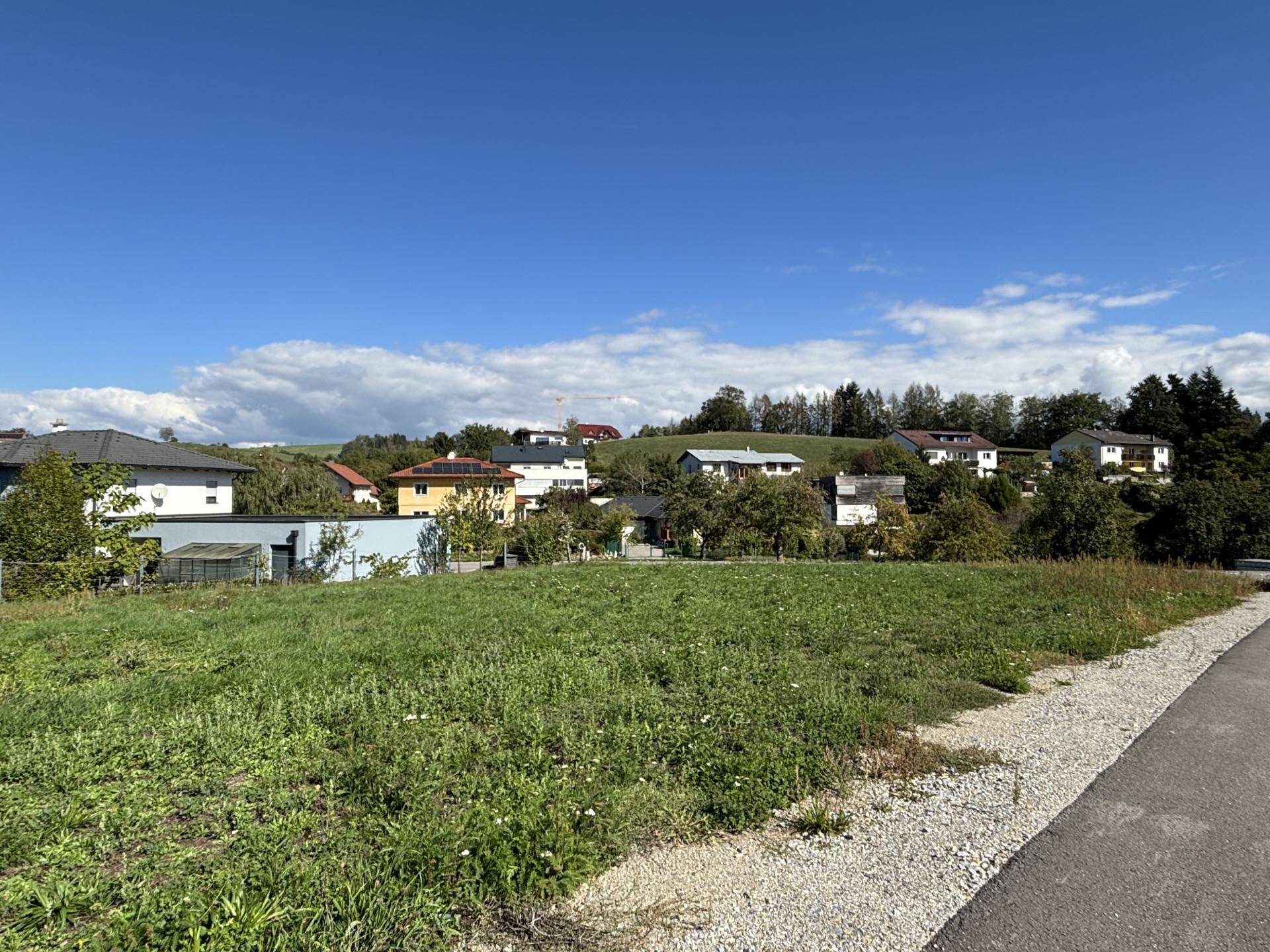 Weitläufiges grünes Grundstück mit Blick auf eine Siedlung von Wohnhäusern unter blauem Himmel.